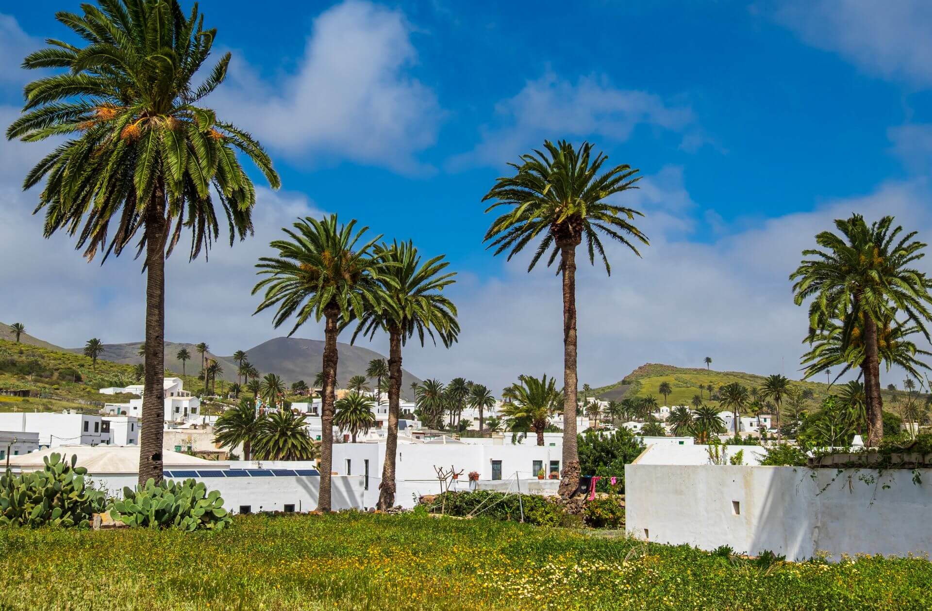 view of town of Haria in Lanzarote